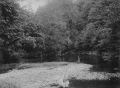 BRW0600108302006
