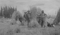 BRW0600208302006