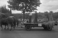 BRW0600808312006