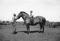 BRW0603209022006