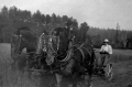 BRW0603409022006
