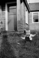 BRW0603709022006