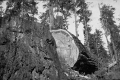 BRW0604409042006